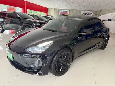 2022 Tesla Model 3 Model Rear-Wheel Drive Version, фото 1, лот 11449541