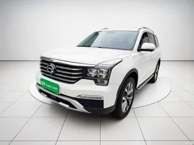 2017 GAC Trumpchi Trumpchi GS8 320T 2WD Luxury Smart Connect (7-seater), фото 1, лот 10999362