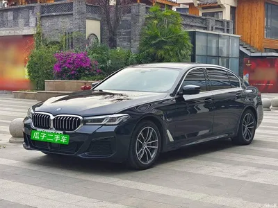 2022 BMW 5 Series New Energy Facelift II 535Le Pioneer Edition M Sport Package, фото 1, лот 10894848