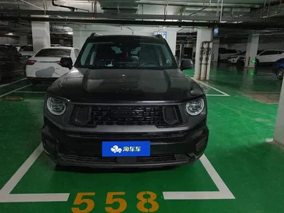 2023 Haval Da Gou 2nd Gen 2.0T AWD Wild Adventure Plus, фото 2, лот 10300306