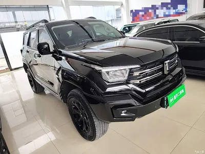 2023 Tank 400 New Energy Hi4-T Super Edition, фото 4, лот 10345218