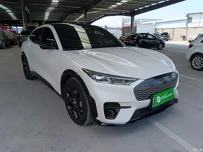 2021 Ford Mustang Mach-E Boundless RWD Luxury (Long Range), фото 4, лот 10283399