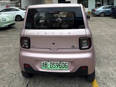 2023 Geely Galaxy Panda Mini 200km Lively Bear, фото 4, лот 11485651