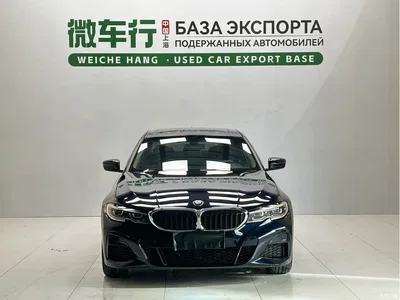2022 BMW 3 Series 320Li M Sport Package, фото 2, лот 10575234