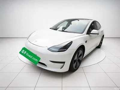 2021 Tesla Model 3 Facelift Standard Range RWD Upgrade 3D1, фото 1, лот 11241330