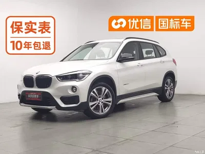 2016 BMW X1 xDrive20Li Luxury Model, фото 1, лот 10465861