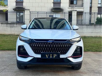 2023 Changan Oshan X7 PLUS Enjoy Edition 1.5T Auto Smart Comfort, фото 2, лот 10956598