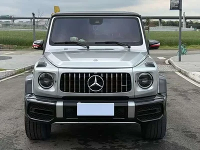 2019 Mercedes-Benz G-Class Facelift G 500, фото 1, лот 10297803