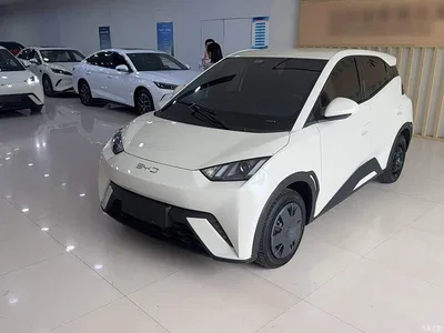2024 BYD Seagull Glory Edition 305km Vitality Edition, фото 2, лот 10263024