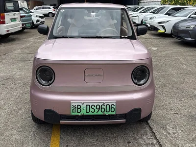 2023 Geely Galaxy Panda Mini 200km Lively Bear, фото 2, лот 11485651