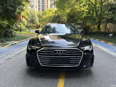 2019 Audi A6L 40 TFSI Luxury Dynamic, фото 1, лот 10769237