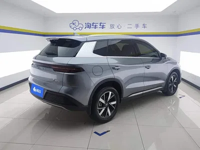 2024 BYD Song Pro New Energy Glory Edition DM-i 71KM Pilot, фото 3, лот 10395904