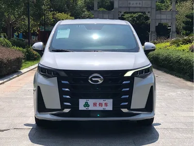 2023 GAC Trumpchi Trumpchi M6 PRO 270T DCT Luxury Edition, фото 2, лот 10416448