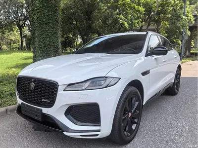 2023 Jaguar F-PACE P250 R-Dynamic BLACK, фото 1, лот 10290032