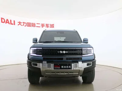 2023 Byd Leopard 5 Pilot Edition, фото 2, лот 11409274