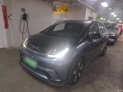 2024 BYD Dolphin Glory Edition 401km Knight Edition, фото 1, лот 11138846