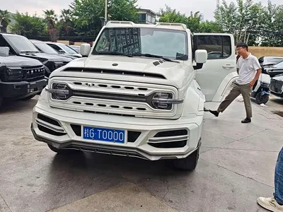 2023 Tank 300 Urban Edition 2.0T Very Stylish, фото 1, лот 11220399