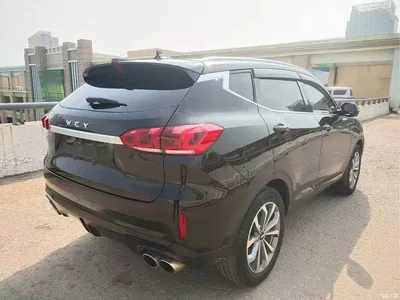 2020 WEY VV6 2.0T 2WD Smart Protection+, фото 4, лот 10451949
