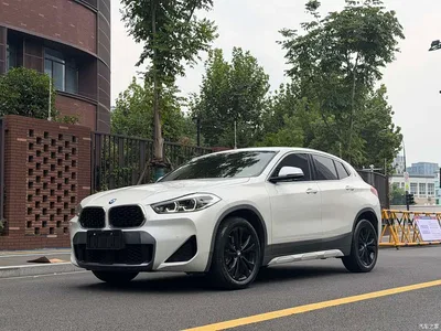 2020 BMW X2 sDrive25i Leading M Sport Package, фото 1, лот 11180778