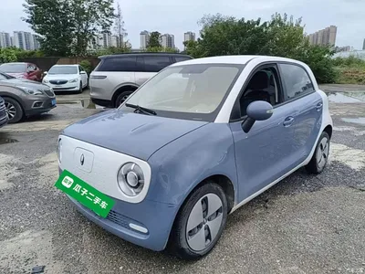 2021 Ora Black Cat 301km Basic Model, фото 1, лот 11518356