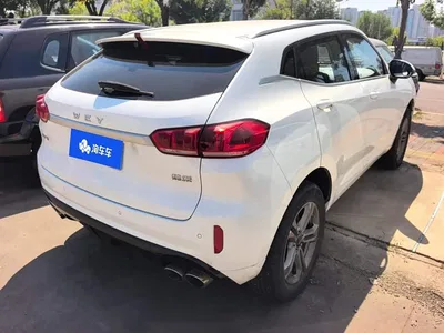 2019 WEY VV5 2.0T 2WD Final Edition, фото 3, лот 10451856