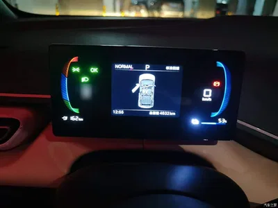 2025 BYD Seagull Smart Drive Edition 305km Vitality Version, фото 4, лот 11198188