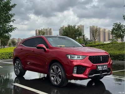 2017 WEY VV5 2.0T Flagship Model, фото 3, лот 10451334