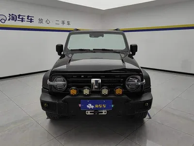 2021 Tank 300 Off-road Version 2.0T Conqueror, фото 2, лот 10769446