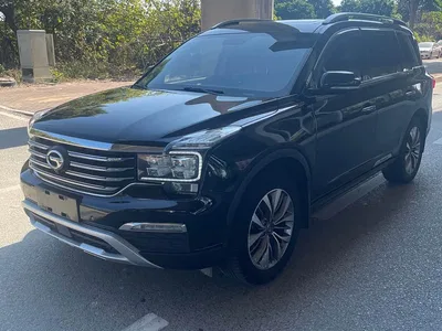 2017 GAC Trumpchi Trumpchi GS8 320T 2WD Luxury Smart Connect (7-seater), фото 1, лот 10415377