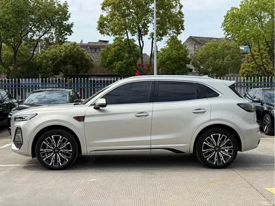 2023 Hongqi HS5 2.0T 4WD Flag Leader Pro, фото 4, лот 10288641
