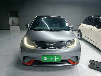 2021 BYD Dolphin Model 405km Fashion Edition, фото 3, лот 11513366