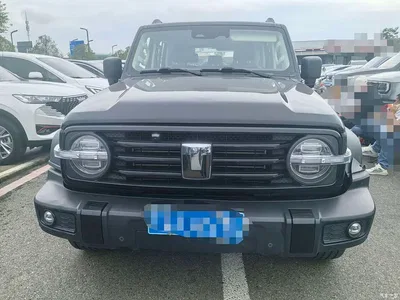 2024 Tank 300 Model 2.0T Challenger, фото 2, лот 10400514