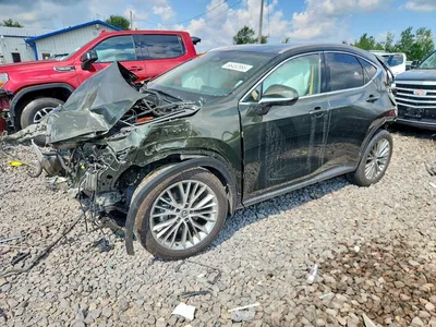 2025 LEXUS NX 350H, фото 1, лот 10900599