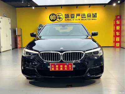 2019 BMW 5 Series 530Li Leading M Sport Package, фото 2, лот 10445532