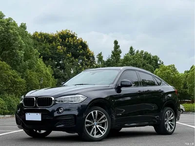 2017 BMW X6 xDrive35i Luxury, фото 1, лот 10422660