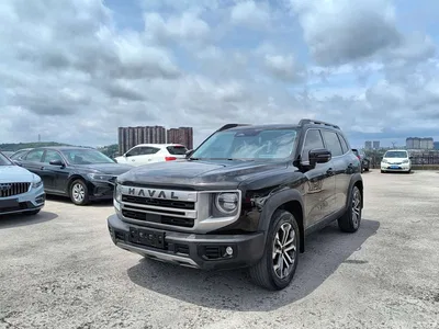 2024 Haval Big Dog 1.5T DCT Border Collie Edition, фото 1, лот 10361578