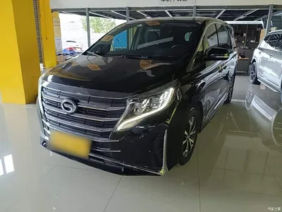 2021 GAC Trumpchi Trumpchi M8 Leading Show Series 390T Premium Edition, фото 1, лот 10424568