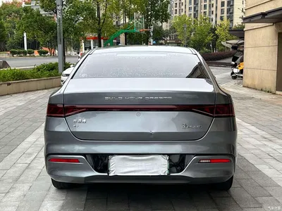 2021 BYD Qin PLUS EV 500KM Premium Model, фото 4, лот 11133359