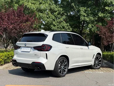 2022 BMW X3 Facelift xDrive30i Leading M Shadow Edition, фото 4, лот 10612712