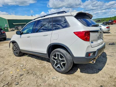 2023 HONDA PASSPORT ELITE, фото 2, лот 10707826
