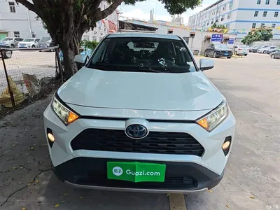 2021 Toyota RAV4 Rongfang Hybrid 2.5L E-CVT AWD Elite PLUS Edition, фото 3, лот 10323407