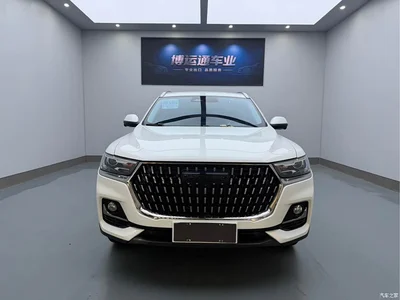 2023 Haval H6 National Trend Edition 1.5T Automatic Champion, фото 2, лот 10283414