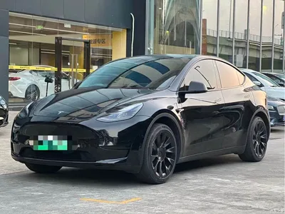 2023 Tesla Model Y Rear-Wheel Drive Edition, фото 1, лот 10899307
