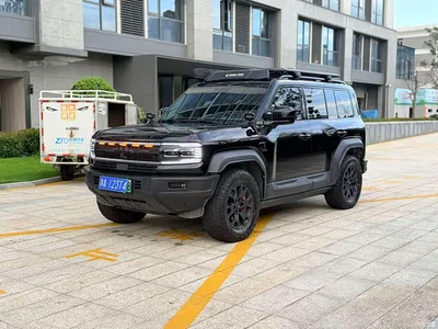 2023 Byd Leopard 5 Yun Nian Flagship Edition, фото 1, лот 10828663