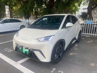 2024 Byd Seagull, фото 1, лот 10243897