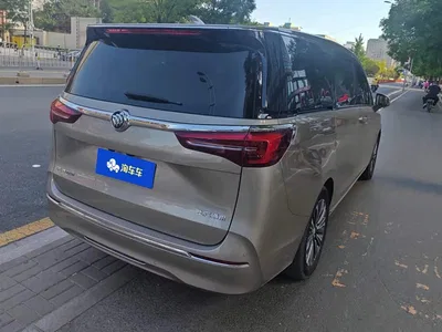 2023 Buick GL8 ES Landmaster Luxury, фото 3, лот 10250694
