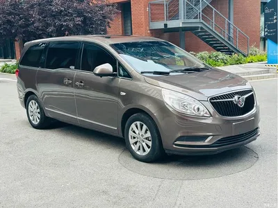 2017 Buick GL8 25S Luxury China V, фото 3, лот 10254695