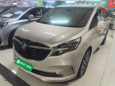 2021 Buick GL8 ES Landlord 653T Luxury, фото 1, лот 11067755