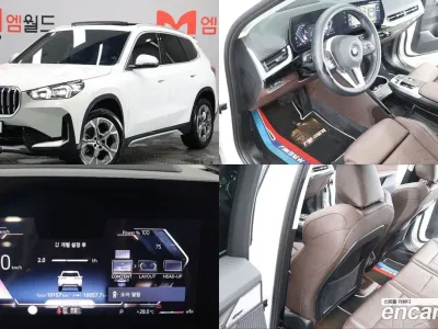 2024 BMW X1 xDrive 20i xLine, фото 1, лот 10179230