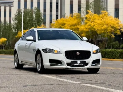 2020 Jaguar XFL 2.0T P200 2WD Elite Edition, фото 3, лот 10290096